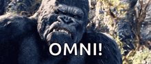 King Kong Mad GIF - King Kong Mad Angry GIFs