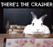 Bunny Kiss Theres The GIF - Bunny Kiss Theres The Theres The Crasher GIFs