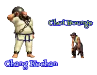 a video game character with the name chang koehan