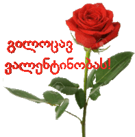 a single red rose with green leaves and the words " congratulations " in red letters