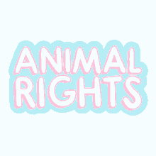 alba paris vegan animal rights no to animal cruelty love animals