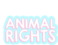 Alba Paris Vegan Sticker - Alba Paris Vegan Animal Rights Stickers