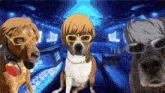 three dogs wearing glasses and headphones in a room