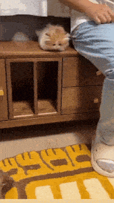 a cat is laying on top of a wooden cabinet next to a person 's leg .