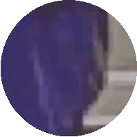 a purple circle with a white border and a gray border