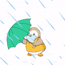 life winter rain cold penguin