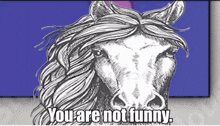 Horse You Are Not Funny GIF - Horse You Are Not Funny Horse Dissappear GIFs