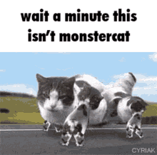 Monstercat GIF