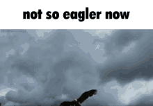 Not So Eagler Eagler GIF