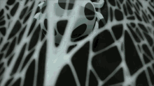 a spider web with a black and white object in it