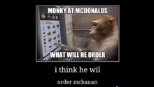 a monkey is pressing a button on a computer screen .