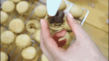 Mocha Macarons GIF - Mocha Macarons Dessert GIFs