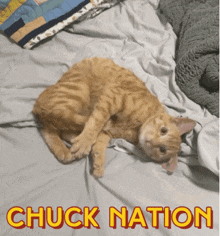 Chuck Nation Chuck Naysh GIF - Chuck Nation Chuck Naysh Chuck GIFs