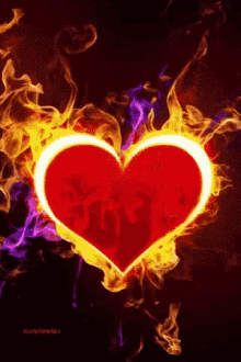 Heart On Fire GIF