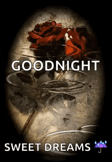 good night flowers sparkles red roses