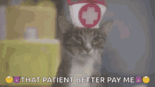 The Key Of Awesome Cat GIF - The Key Of Awesome Cat Nurse GIFs