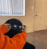 a person in an orange sweatshirt is putting glasses on a dog