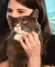 a woman with a ring on her finger is petting a gray cat