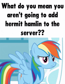 a picture of a rainbow dash with the words what do you mean you aren 't