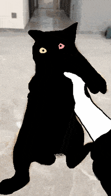 a drawing of a black cat being petted by a white hand