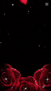 a woman 's face is surrounded by red roses and the words pasion y dulzura are above her