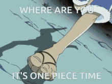 One Piece Time One Piece Vc GIF - One Piece Time One Piece Vc Where Are You Its One Piece Time GIFs