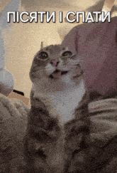 пісяти і спати GIF