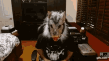 Rasmr Wolf Game GIF - Rasmr Wolf Game GIFs