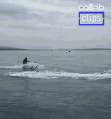 water skiing fail splash water skiing water watersport