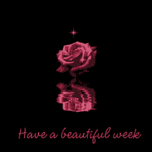 have a beautiful week have a good week twinkle sparkle red rose
