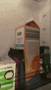 a carton of orange juice sits in the fridge