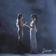 Miss Philippines Miss Universe GIF - Miss Philippines Miss Universe Final2 GIFs