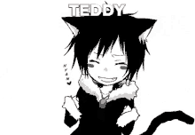 Teddy Catboy Teddy GIF - Teddy Catboy Teddy Teddy Lee GIFs