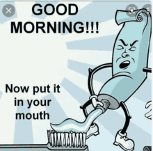 Morning Bitches GIF - Morning Bitches GIFs