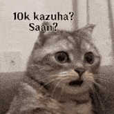 a cat is sitting on a couch with its mouth open and asking a question .