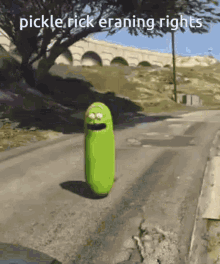 pickle rick smile road pickle rick eraning rights