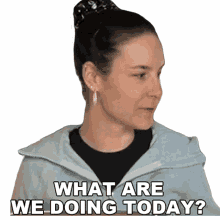 what are we doing today cristine raquel rotenberg simply nailogical simply not logical what is our plan today