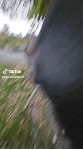 a blurry picture of a horse with the words tiktok @ horses4life97