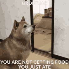 Eating Hungry GIF - Eating Hungry Fit GIFs