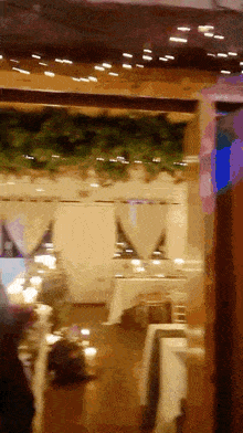 a blurry picture of a room with a ceiling that has a few plants on it