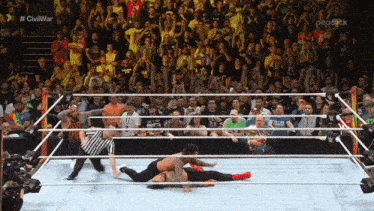 [Image: roman-reigns-pinned.gif]