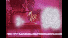 Vhs 80s GIF - Vhs 80s Neon GIFs