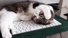 Cat On Keyboard Cat Keyboard GIF - Cat On Keyboard Cat Keyboard Cat Computer GIFs