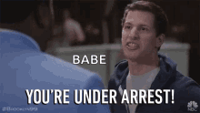 Youre Under Arrest Seize By Authority GIF - Youre Under Arrest Seize By Authority Take Into Custody GIFs