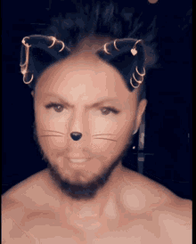mikenspired catman angry