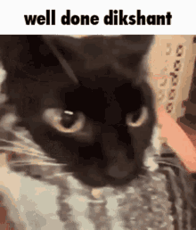 Dikshant GIF - Dikshant GIFs