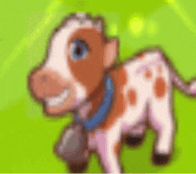 a brown and white cow wearing a blue collar and a bell is standing on a green field .