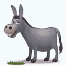 Donkey Eatingg GIF - Donkey Eatingg Grass GIFs