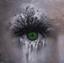 green eye eyes waterfall crying