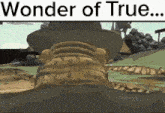 a man in a hat is standing in a field with the words `` wonder of true '' written above him .